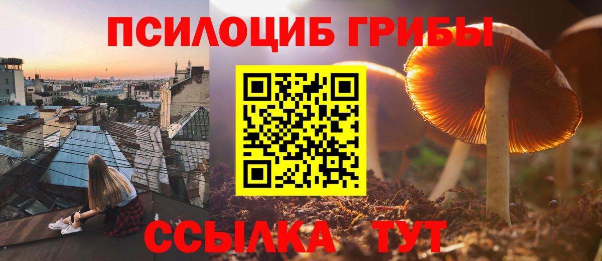 Псилоцибиновые грибы мухоморы Шебекино