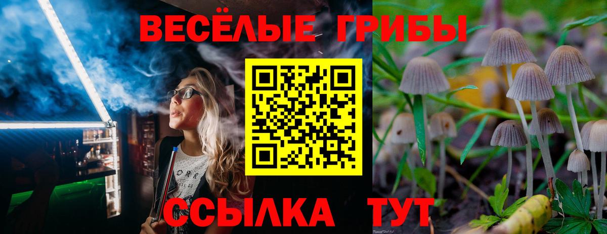 хочу наркоту  Вход с VPN  Шебекино  Псилоцибиновые грибы мухоморы 