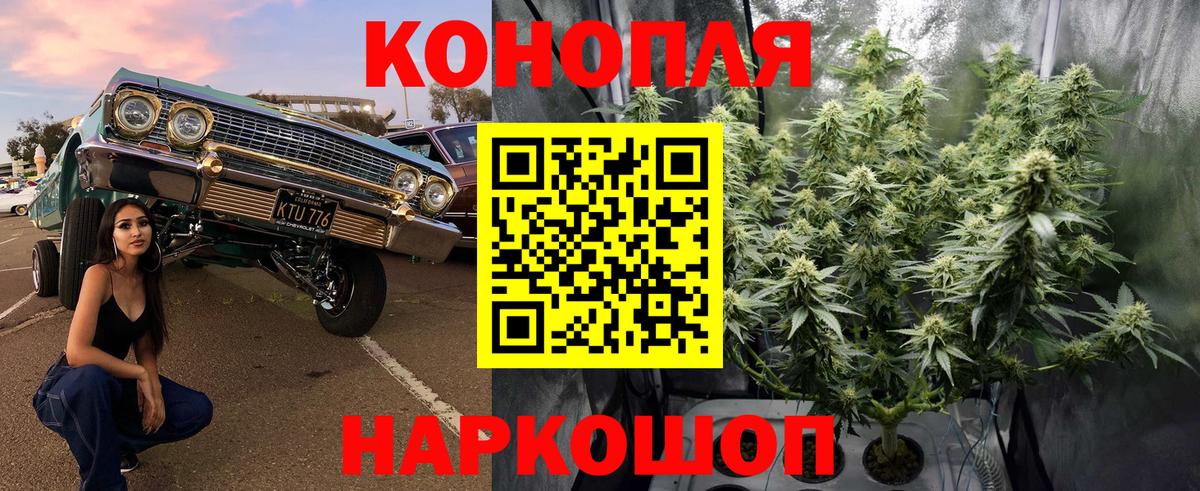 Шебекино  Марихуана White Widow  Конопля OG Kush  Вход с VPN 
